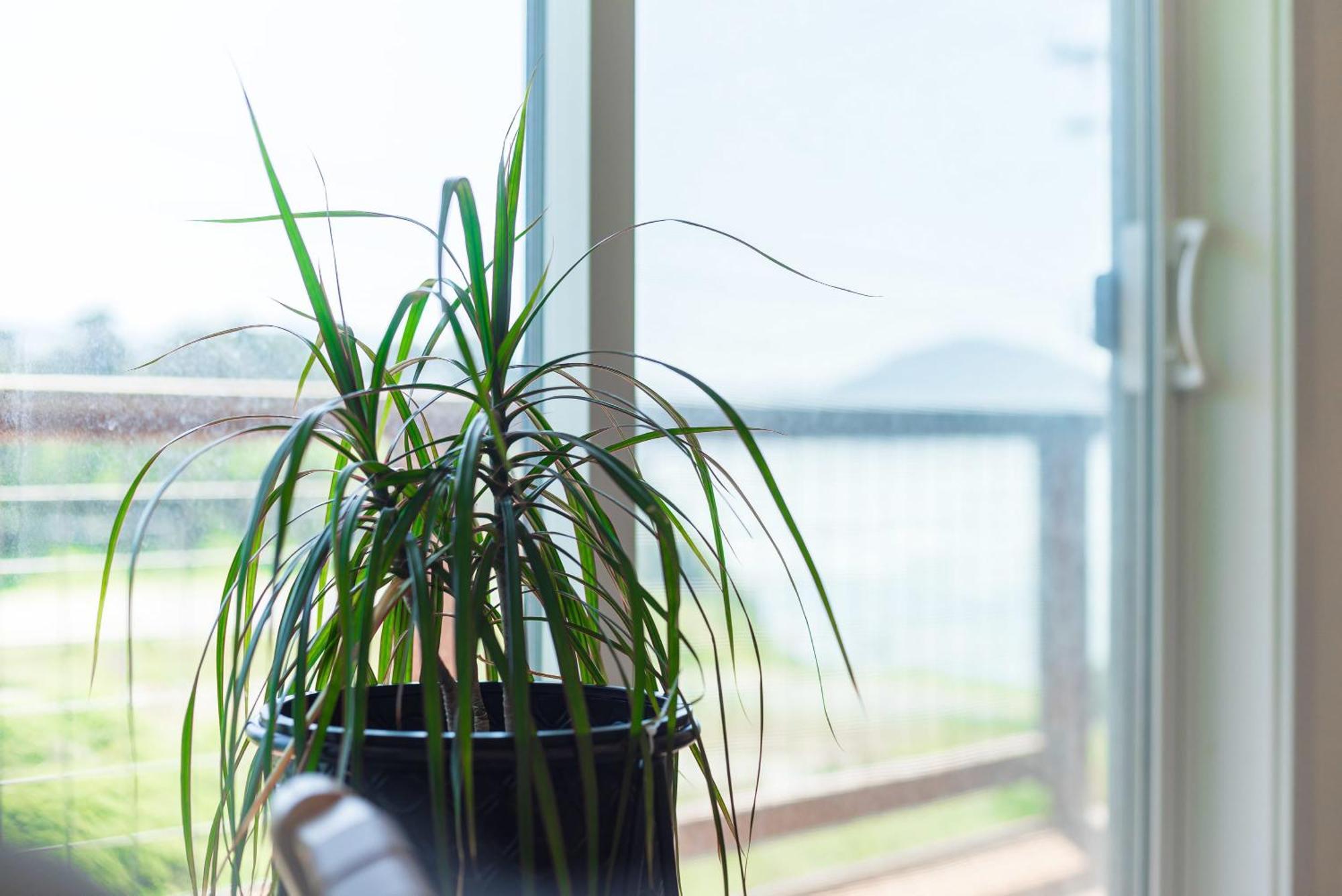 #Stayinmydistrict Oceanview Studio Loft Порт-Орфорд Экстерьер фото
